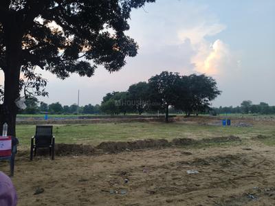 Bassi Plot View 3