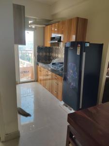Kitchen Image of 600 Sq.ft 1 BHK Apartment / Flat for rent in Signature Global Golf Green, Sector 79 Gurgaon for Rs. 20000