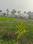 Sonarpur Plot View 2