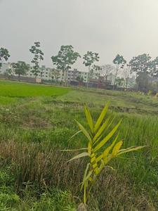 Sonarpur Plot View 2