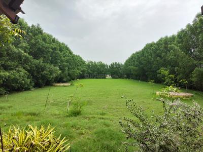 Chhabasar Plot View 1
