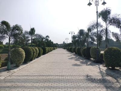 Image of 1080 Sq.ft Residential Plot / Land for sale in Mansha Oaks, Sector 98, Faridabad for Rs. 16000000