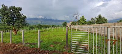 Sagun valley Plot View 3