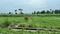 Vikasnagar Main Image 1