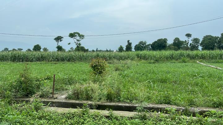 Vikasnagar Main Image 1