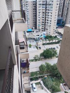 Balcony Image of 1000 Sq.ft 2.5 BHK Apartment / Flat for rent in Amrapali Riverview, Noida Extension Greater Noida for Rs. 17500