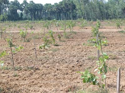 Image of 200 Sq.ft Residential Plot / Land for sale in Kothavalasa, Visakhapatnam for Rs. 1200000