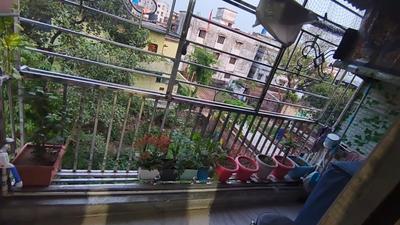 Balcony Image of 1150 Sq.ft 2 BHK Apartment / Flat for sale in Pandey Muhalla Dhanbad for Rs. 3600000