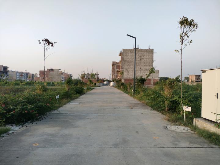 Amolik Aster Woods Main Image 1