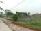 Apparent JB Garden Main Image 1