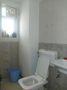 Common Bathroom Image of 1100 Sq.ft 3 BHK Apartment / Flat for sale in ROF Amaltas, Sector 92 Gurgaon for Rs. 7500000