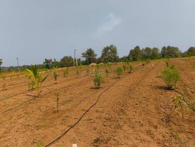 Image of 16200 Sq.ft 2 BHK Farm House for rent in Devarapalli, Visakhapatnam for Rs. 15000