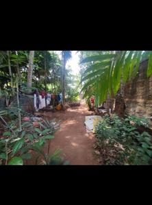 Malaparamba Plot View 2