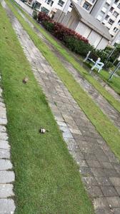 Image of 1100 Sq.ft 3 BHK Apartment / Flat for rent in DN Fairytale, Madanpur, Bhubaneswar for Rs. 22000