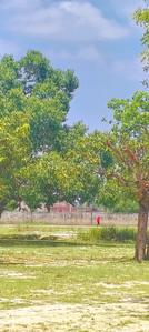 Image of 1000 Sq.ft 2 BHK Farm House for sale in Amausi, Lucknow for Rs. 1600000