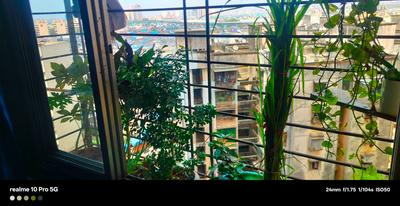 Balcony Image of Maher  in Mankhurd, Mumbai