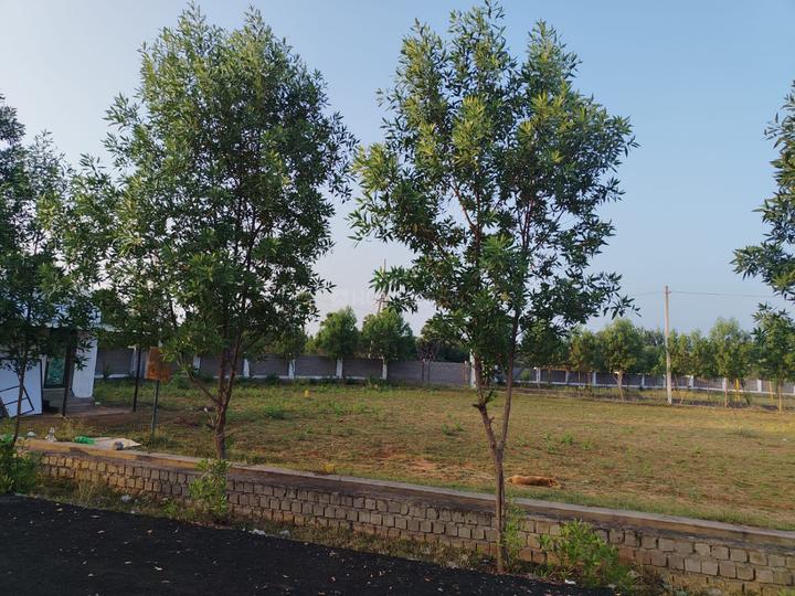 Kommadi Main Image 1