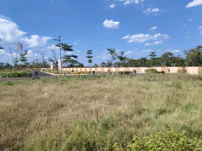 Residential Plot