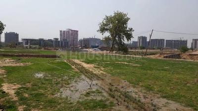 Image of 265 Sq.ft Residential Plot / Land for sale in Sector 75, Faridabad for Rs. 40000000