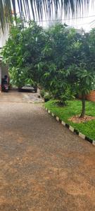 Image of 1800 Sq.ft 3.5 BHK Independent House for rent in KGS Kowdiar Gardens, Kowdiar, Thiruvananthapuram for Rs. 60000