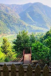 Image of 7560 Sq.ft 4.5 BHK Villa for sale in Mukteshwar, Nainital for Rs. 39000000