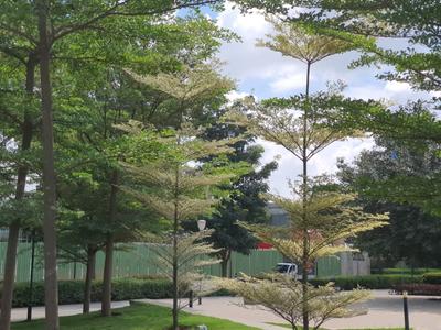 Image of 1139 Sq.ft 2 BHK Apartment / Flat for sale in Nikoo Homes V, Kannuru, Bengaluru for Rs. 14900007