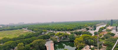 Balcony Image of 600 Sq.ft 1 BHK Apartment / Flat for rent in Vikram Golf View Condos, Sector 19 Dwarka New Delhi for Rs. 35000