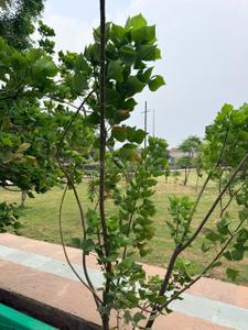 Image of 1350 Sq.ft Residential Plot / Land for sale in Sector 138, Noida for Rs. 7500000