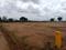 Manneguda Main Image 1