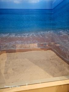 Image of 1450 Sq.ft 3 BHK Apartment / Flat for sale in Sunteck Beach Residences, Vasai West, Vasai for Rs. 17900000