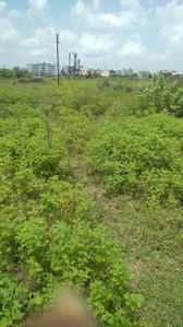 sai society Plot View 3