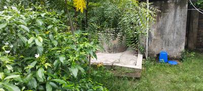 Image of 900 Sq.ft 1 RK Independent House for sale in Maheshtala, Kolkata for Rs. 1600000