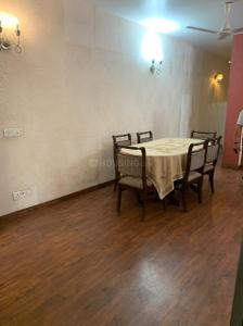 Hall Image of 1500 Sq.ft 3 BHK Builder Floor for rent in Green Park New Delhi for Rs. 80000