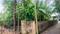Keralarealty Plot View 2