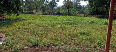 Image of 1089 Sq.ft Residential Plot / Land for sale in Dronagiri, Navi Mumbai for Rs. 720000