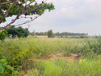 Image of 1200 Sq.ft Residential Plot / Land for sale in Sheikhmanpura, Kolar for Rs. 3050000