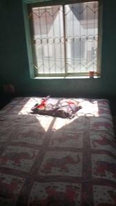 Bedroom Image of 700 Sq.ft 3 BHK Independent House for rent in Uliyan Jamshedpur for Rs. 3000