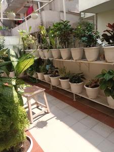 Balcony Image of 1090 Sq.ft 2 BHK Independent House for rent in Gandhi Nagar Nagpur for Rs. 23000