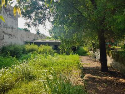 Image of 300 Sq.ft Residential Plot / Land for sale in NTPC Society, Greater Noida for Rs. 39900000