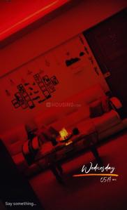 Bedroom Image of 1000 Sq.ft 2 BHK Apartment / Flat for rent in Kalpataru Serenity, Hadapsar Pune for Rs. 15000