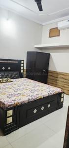 Bedroom Image of 500 Sq.ft 2 BHK Independent House for rent in Vinay Nagar Gwalior for Rs. 14000