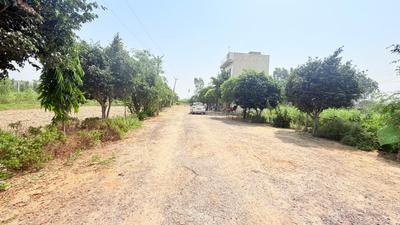 Image of 450 Sq.ft Residential Plot / Land for sale in Chhata, Mathura for Rs. 750000