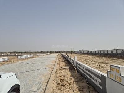 Vrb amber phase 1 Plot View 3