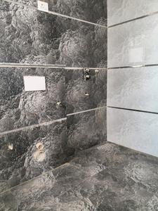 Common Bathroom Image of 2700 Sq.ft 4 BHK Builder Floor for sale in DLF City Floor Phase 2, DLF Phase 2 Gurgaon for Rs. 50000000