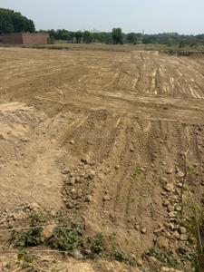 Harhua Plot View 3