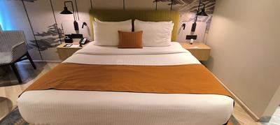 Bedroom Image of 655 Sq.ft 1 RK Studio for sale in Manesar Gurgaon for Rs. 10800000