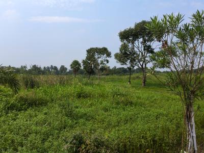 Image of 720 Sq.ft Residential Plot / Land for sale in Nest Valley, Joka, Kolkata for Rs. 170000