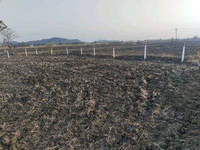 Sarde Plot View 1
