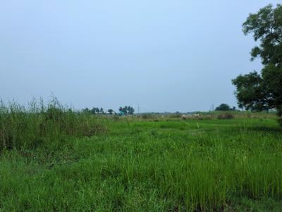 Wander Valley Plot View 1