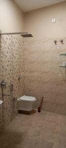 Image of 1200 Sq.ft 2 BHK Independent House for rent in Shankar Nagar, Raipur for Rs. 20000